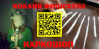 a pvp Камышлов