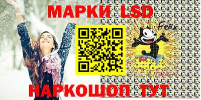 a pvp Камышлов