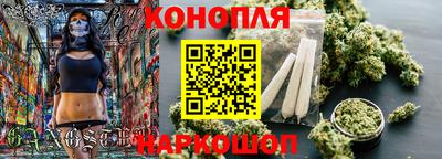 a pvp Камышлов