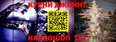 a pvp Камышлов
