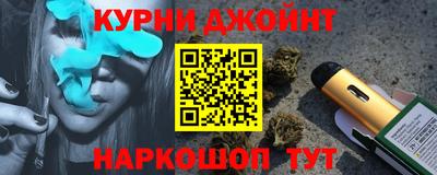a pvp Камышлов