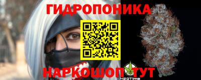 a pvp Камышлов