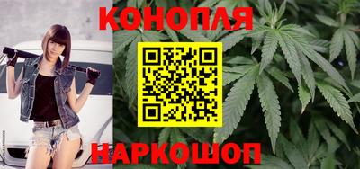 a pvp Камышлов