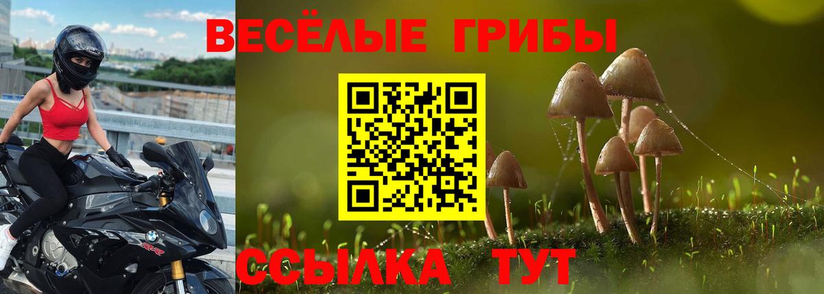 Псилоцибиновые грибы Magic Shrooms  купить   Псилоцибиновые грибы прущие грибы  Киселёвск  Вход с VPN 